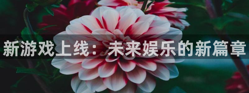 欧博娱乐官网：新游戏上线：未来娱乐的新篇章