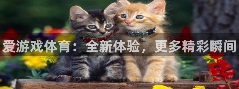 欧博娱乐什么意思：爱游戏体育：全新体验，更多精彩瞬间