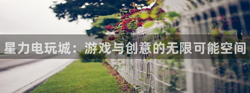 欧博娱乐注册登录平台：星力电玩城：游戏与创意的无限可能空间
