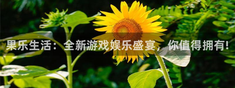欧博娱乐平台登录入口：果乐生活：全新游戏娱乐盛宴，你值得拥有