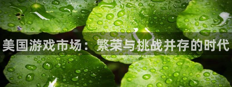 欧博娱乐官网：美国游戏市场：繁荣与挑战并存的时代