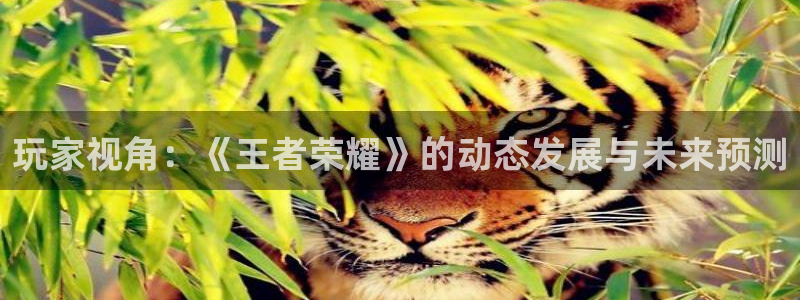 欧博娱乐平台：玩家视角：《王者荣耀》的动态发展与未来预测