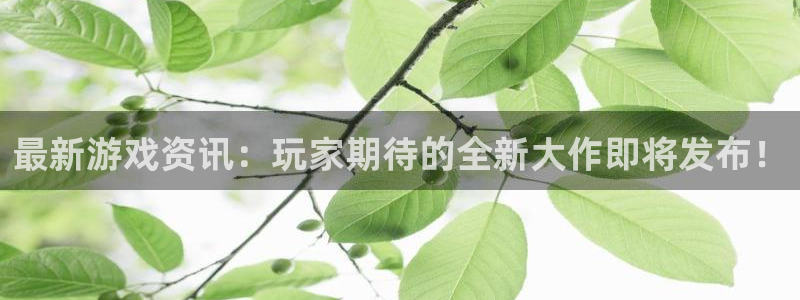 欧博娱乐网页版地址：最新游戏资讯：玩家期待的全新大作即将发布