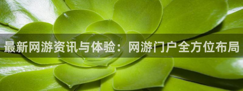 欧博娱乐是什么：最新网游资讯与体验：网游门户全方位布局